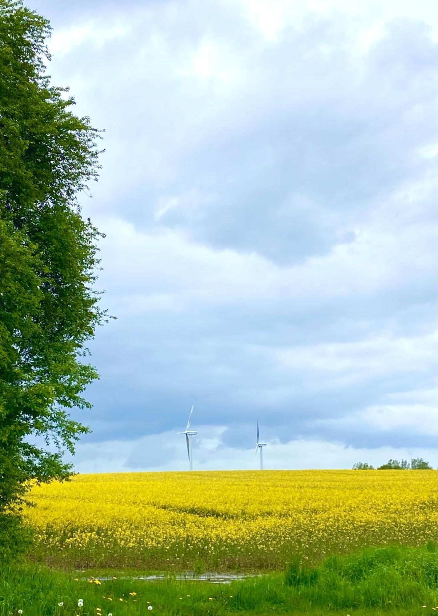 Ferienhaus Bei Engel Ahrensbok Buitenkant foto